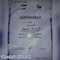 Сертификат клиники Петан