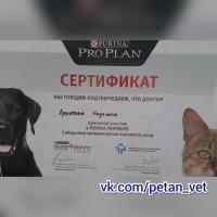 Сертификат клиники Петан