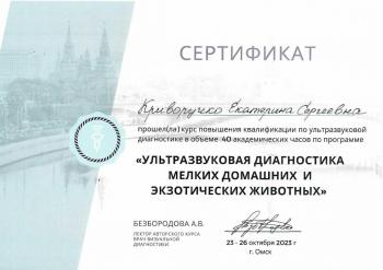 Сертификат сотрудника Криворучко Е.С.