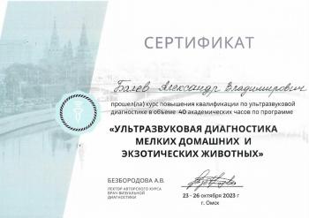 Сертификат сотрудника Балев А.В.